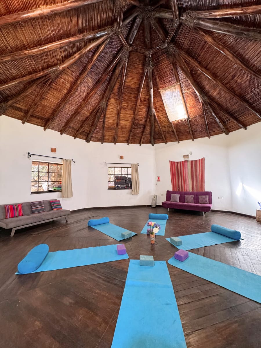 Family Constellations — Certified facilitation inside the maloca to heal bonds and harmonize family history.
