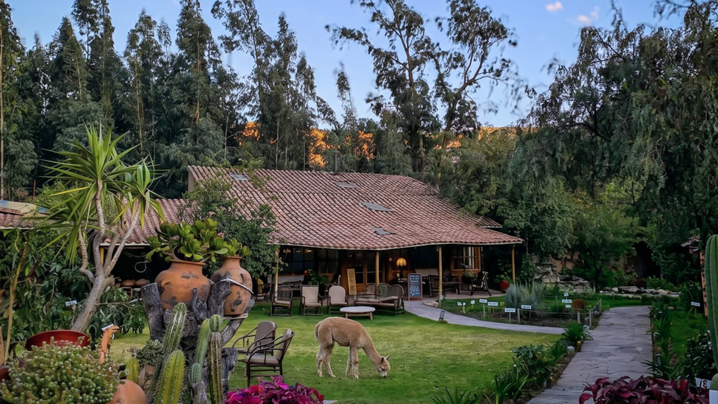 Jardines y exteriores de Andean Wings Valley