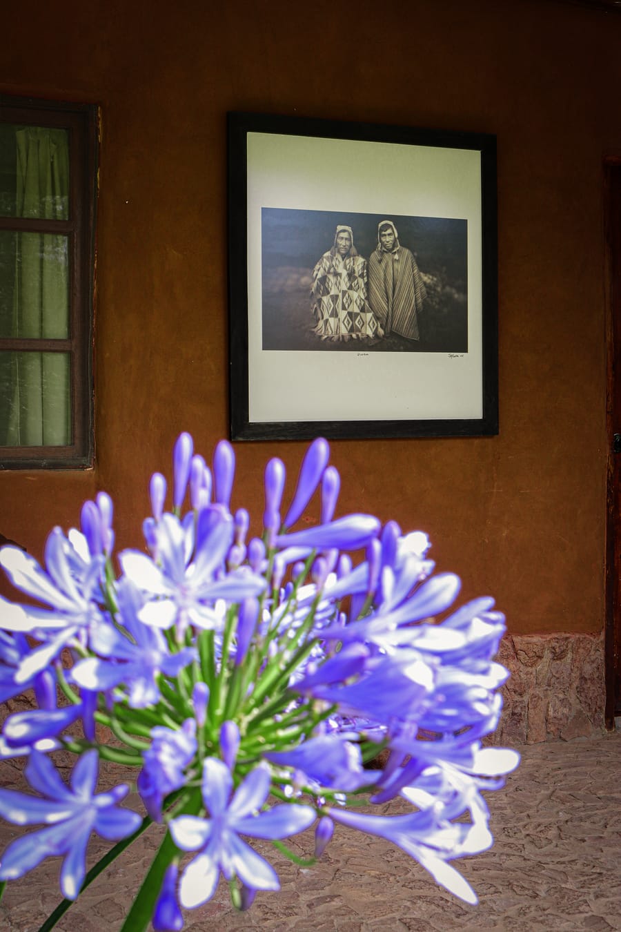Agapantos y fotografía andina en el muro de adobe
