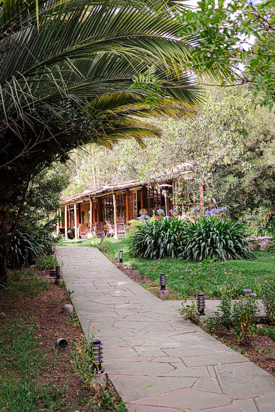 Sendero de piedra entre palmeras y jardines