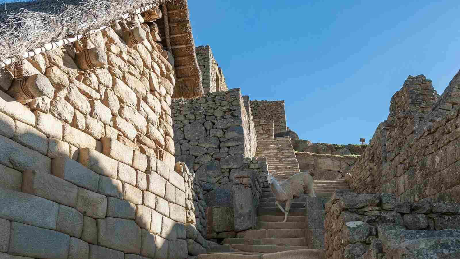 camino inca