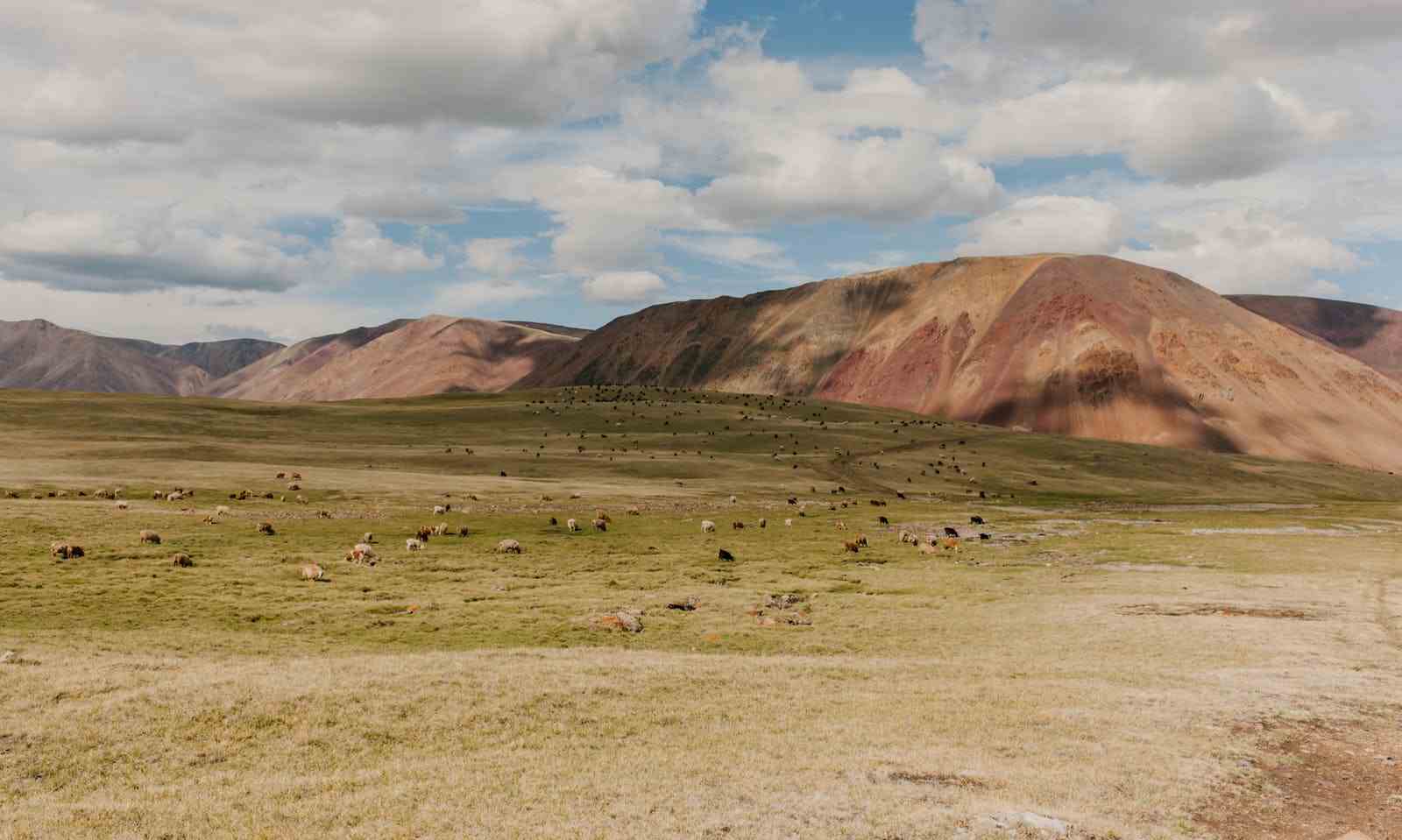 montaña Palcoyo
